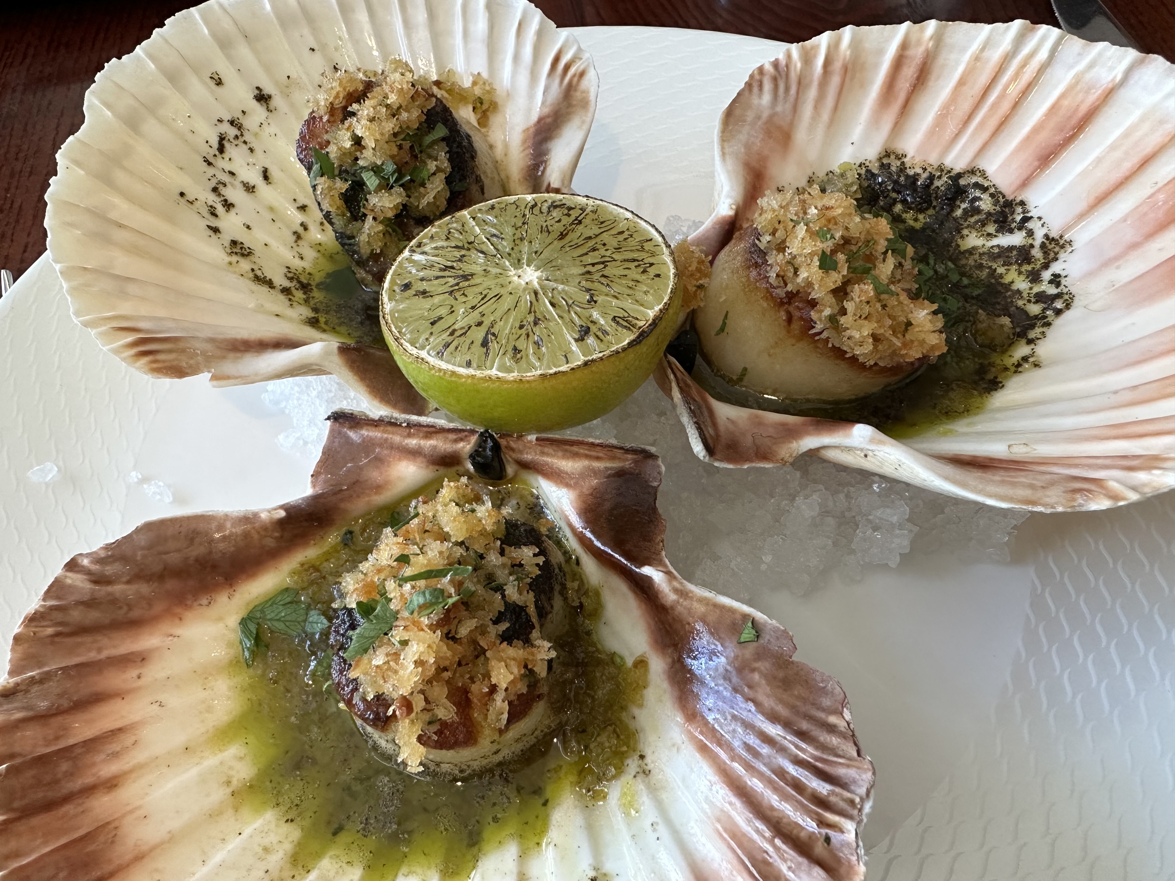 Three scallops in their opened shells  with a green, herbal dressing.  A seared lime half is balanced between the shells.